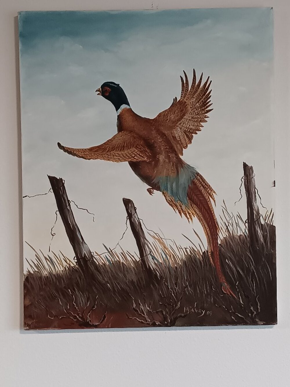 Vtg Original Oil Canvas Painting M.Roy 1989 Pheasant Wildlife 16" x 20"